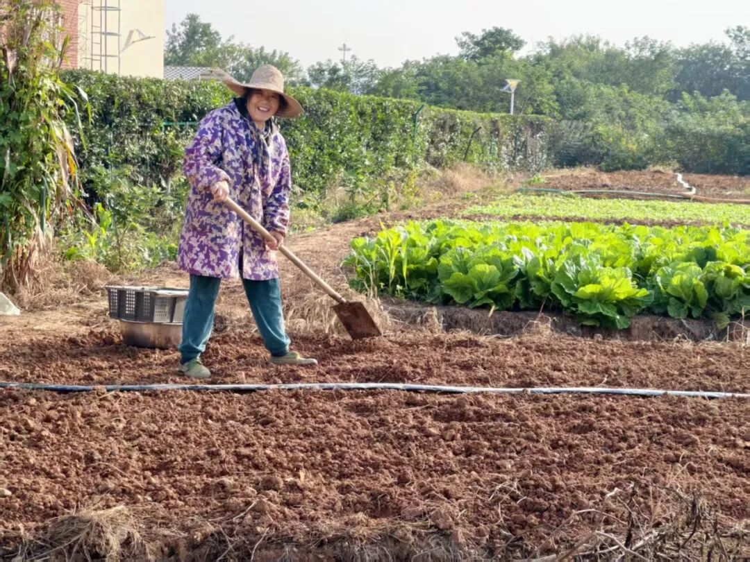 医养相融，疗愈新生——南京扬子康复医院田园疗愈基地正式启动，让我们在田园里种出康复新希望！